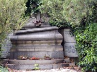 12 Zsigmondy család